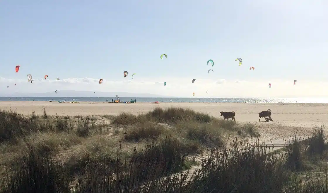 Valdesvaqueros beach, Tarifa in spain.