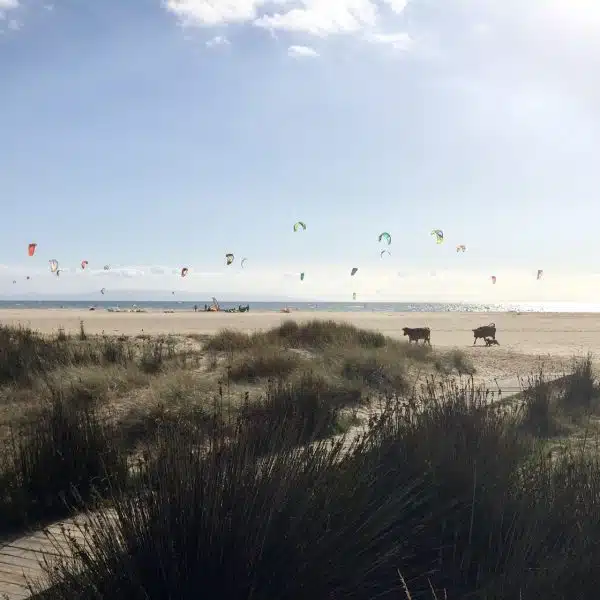 Valdesvaqueros beach, Tarifa in spain.