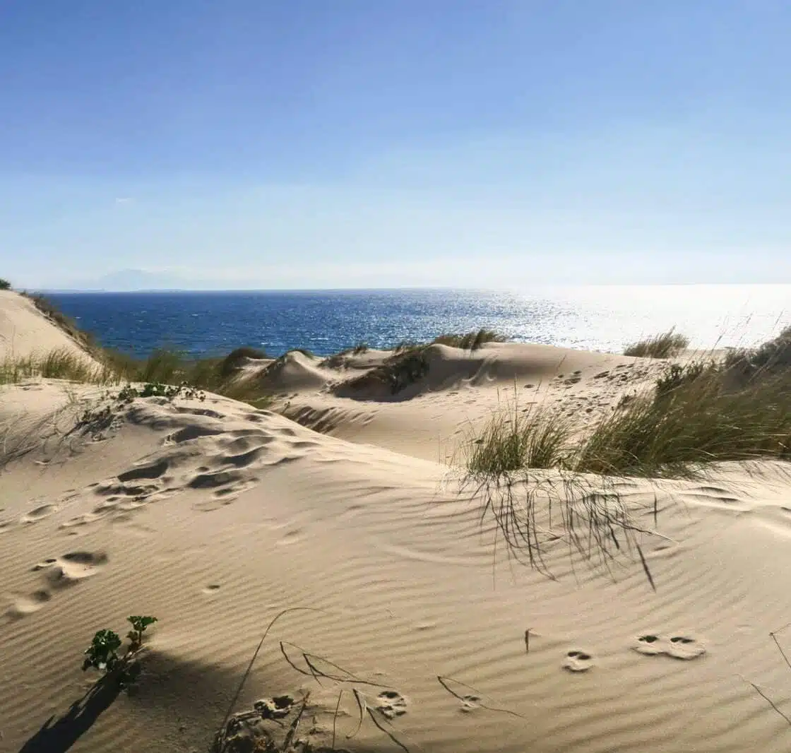 ballade sur la plage, Tarifa