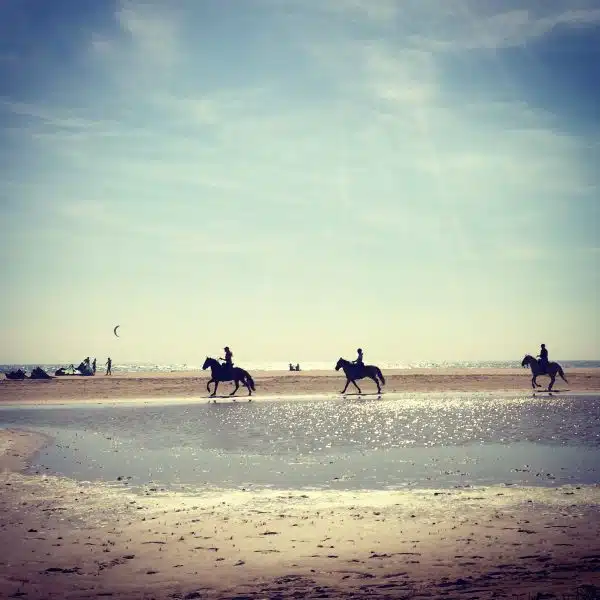 Los Lances beach, Tarifa Spain, kitesurfing and multi-activity with Freeride Tarifa, horseriding