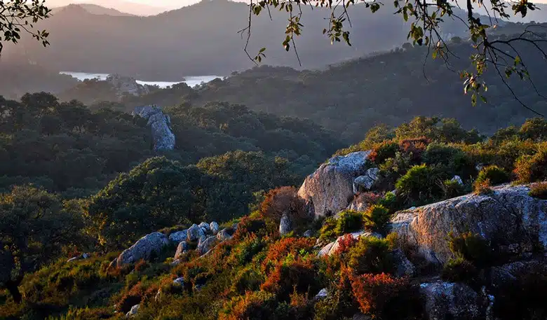 Parque Natural Los Alcornocales Tarifa, spain