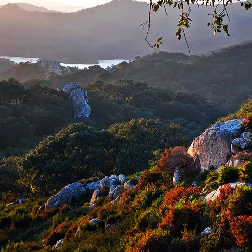 Parque Natural Los Alcornocales Tarifa, spain