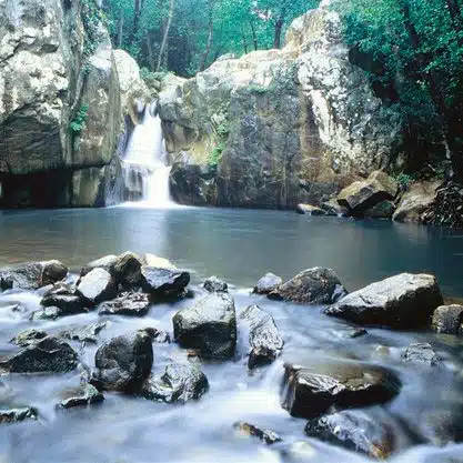 Parque Natural Los Alcornocales Tarifa, Spain