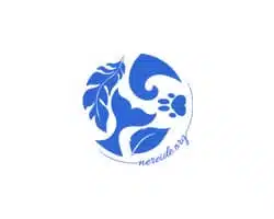 Nereide Association Ocean protection