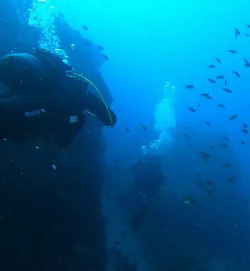 Buceo o Esnórquel en Tarifa